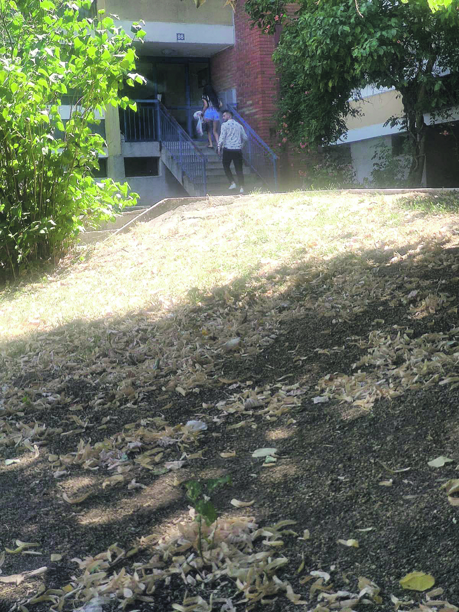 EKSKLUZIVNI ALO PAPARACO! Viktorija Mitrović i Marko Osmakčić u tajnoj vezi, oprostila mu mrtvu bebu! (FOTO)