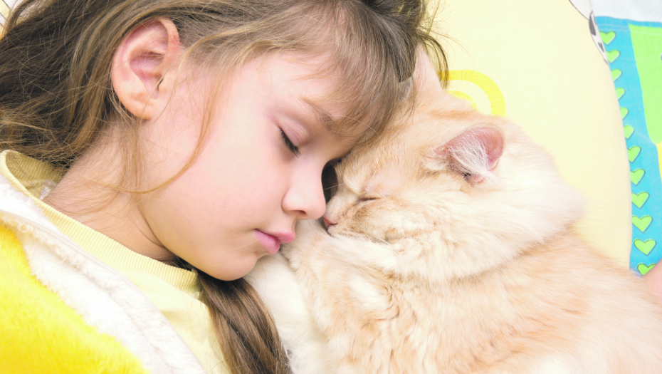 DOKAZANE PREDNOSTI Evo zbog čega je dobro da mačka spava sa vama u krevetu