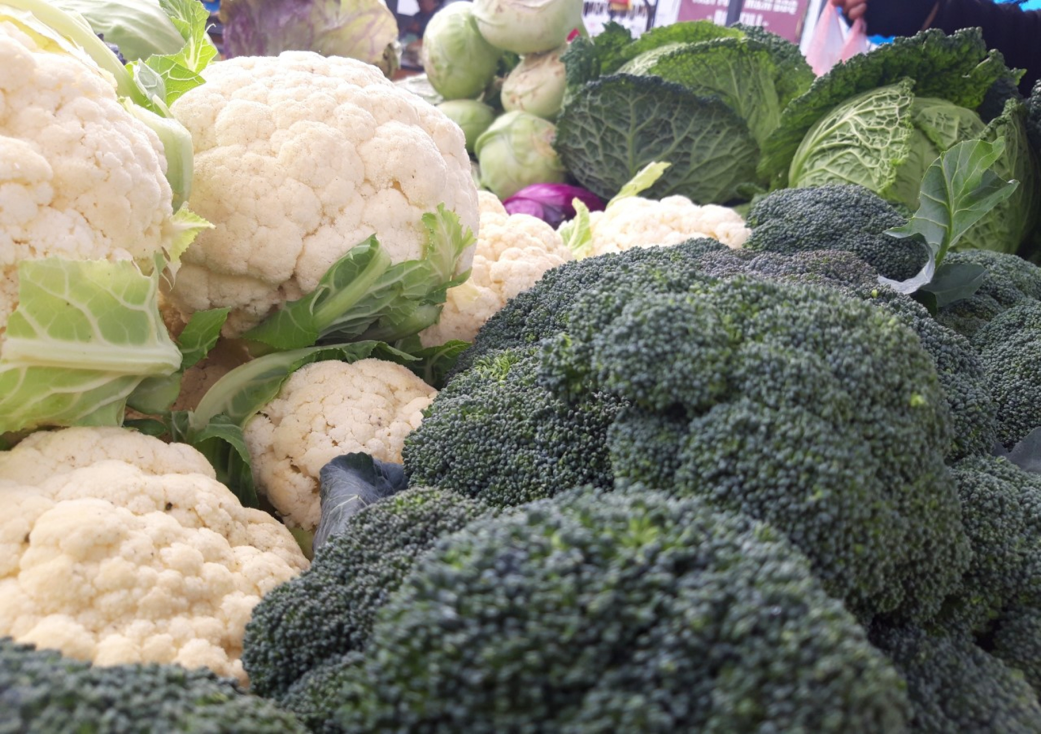 PAZARITE ZDRAVLJE Ovo voće i povrće najbolje hidrira organizam