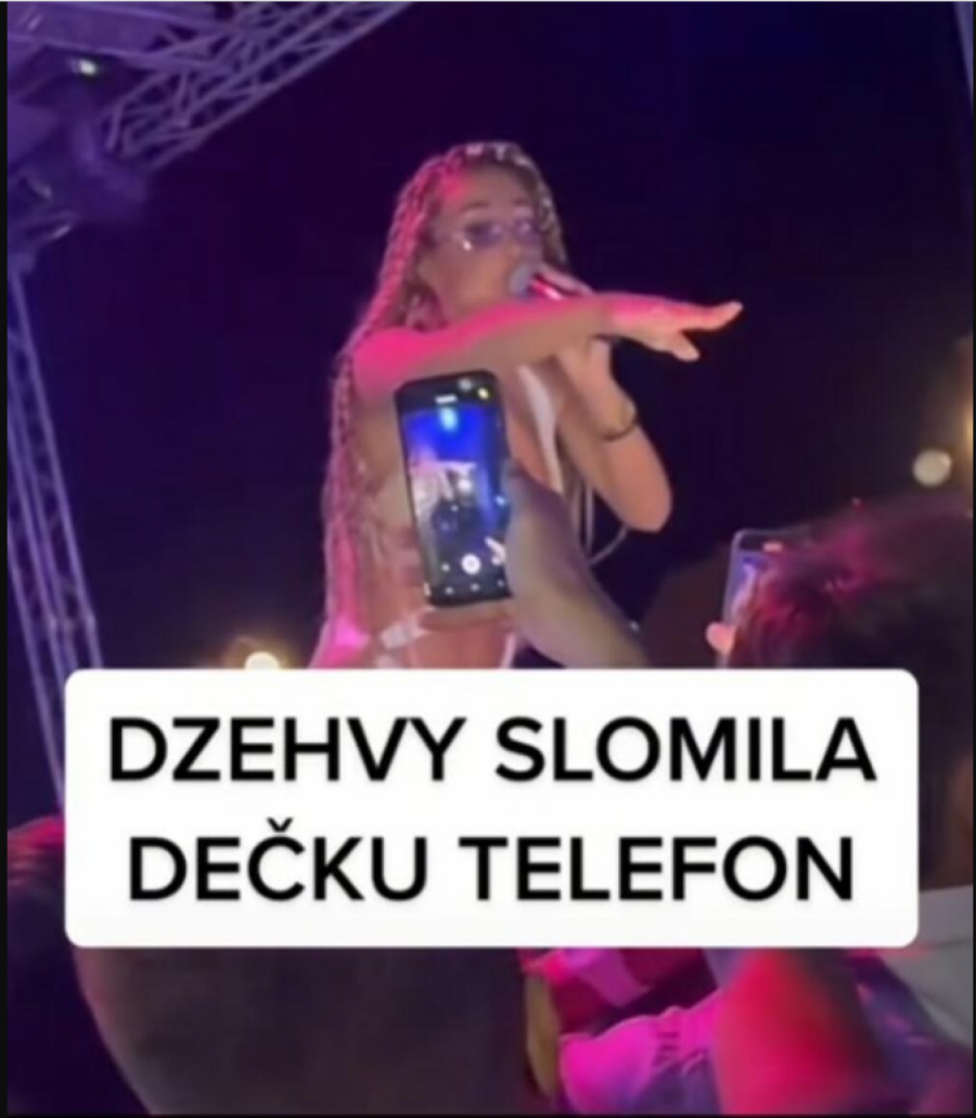 TEODORA POLOMILA FANU TELEFON! Džehva prekinula nastup, a momku iz publike poručila je ovo (VIDEO)