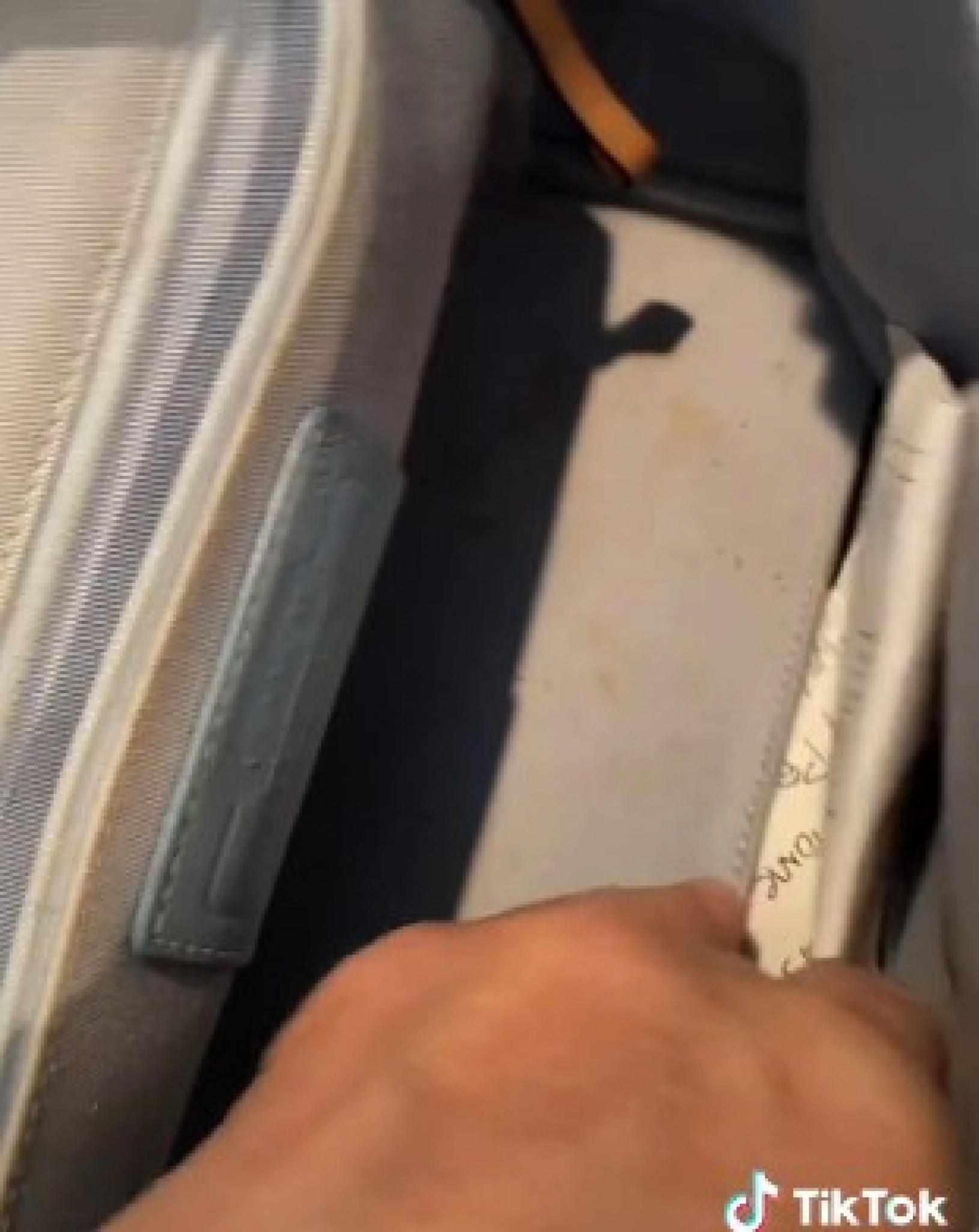 ZA BRENDIRANU TORBU DALA 800 DINARA Kad je otvorila umalo se nije srušila