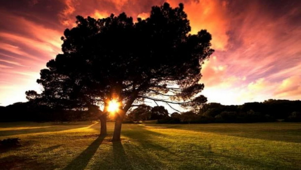 HOROSKOP ZA ČETVRTAK, 17. NOVEMBAR Raka čeka neprijatno iznenađenje, Vagi neko radi iza leđa, Vodolija ne bi smela da rizikuje sa novcem