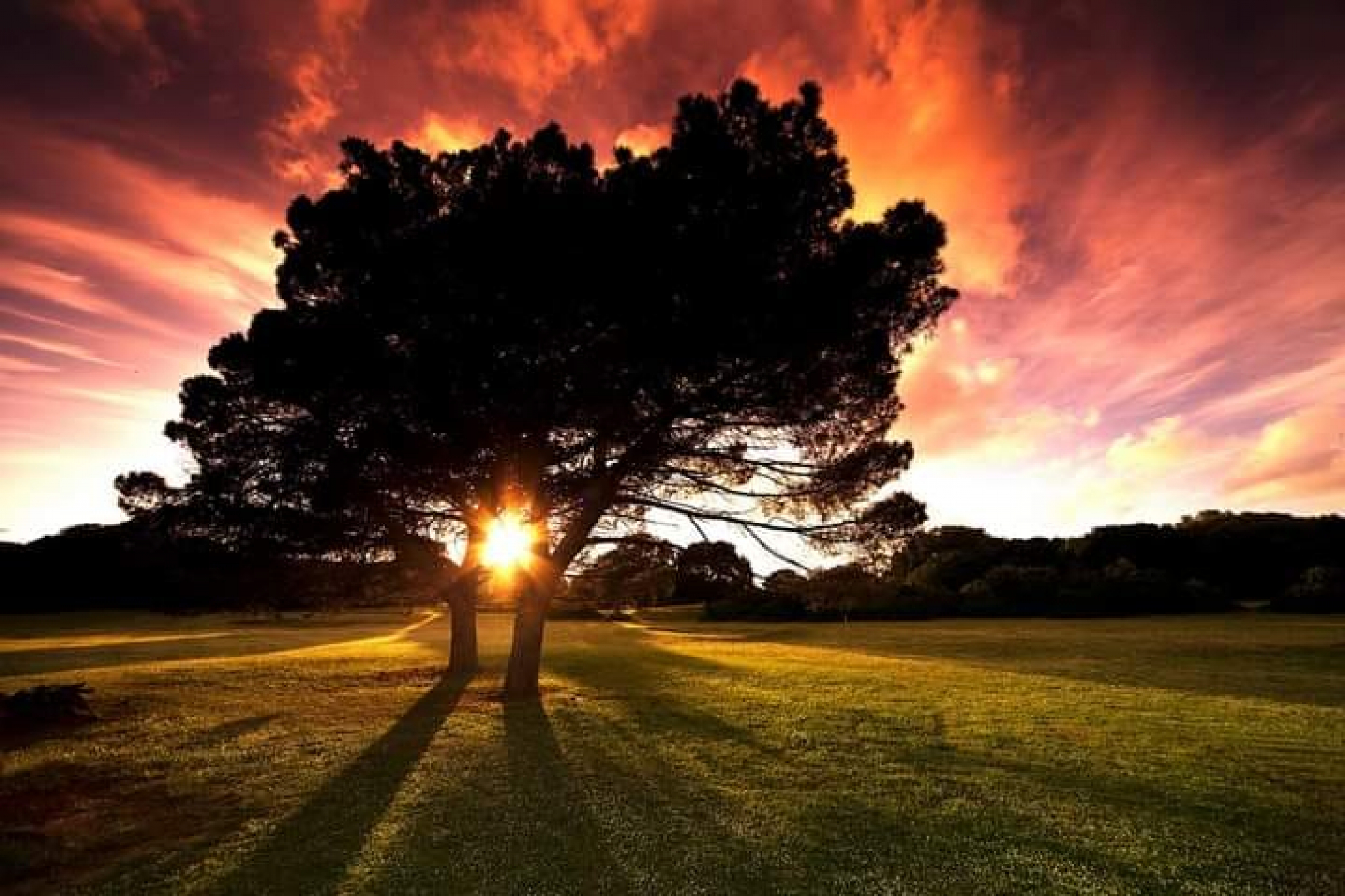 VELIKI NEDELJNI HOROSKOP Lav i Jarac će imati novčane probleme, Škorpiji je brak u velikoj krizi, Vodolija će dobro profitirati