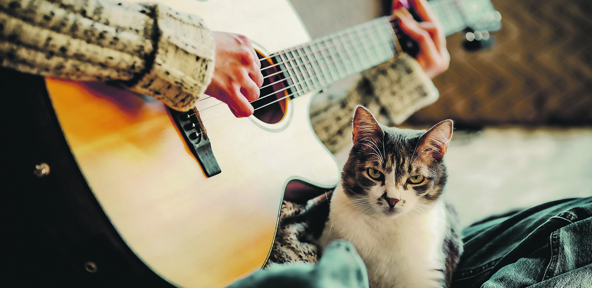 BIRAJTE MUZIKU NIŽIH TONOVA Uživaju u zvuku gitare
