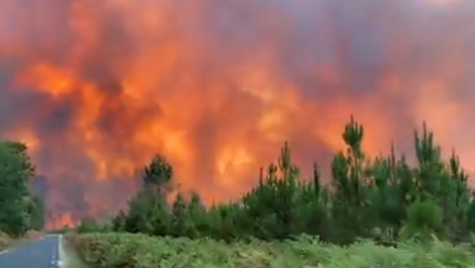 VATRENI "MONSTRUM" GUTA FRANCUSKU OBLAST Jak vetar i visoke temperature ometaju gašenje požara (VIDEO)