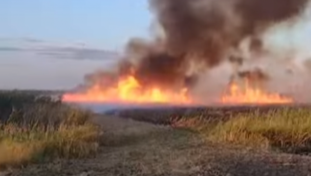 BUKTI POŽAR KOD ZRENJANINA Gori nisko rastinje, vidi se gusti oblak dima! (VIDEO)
