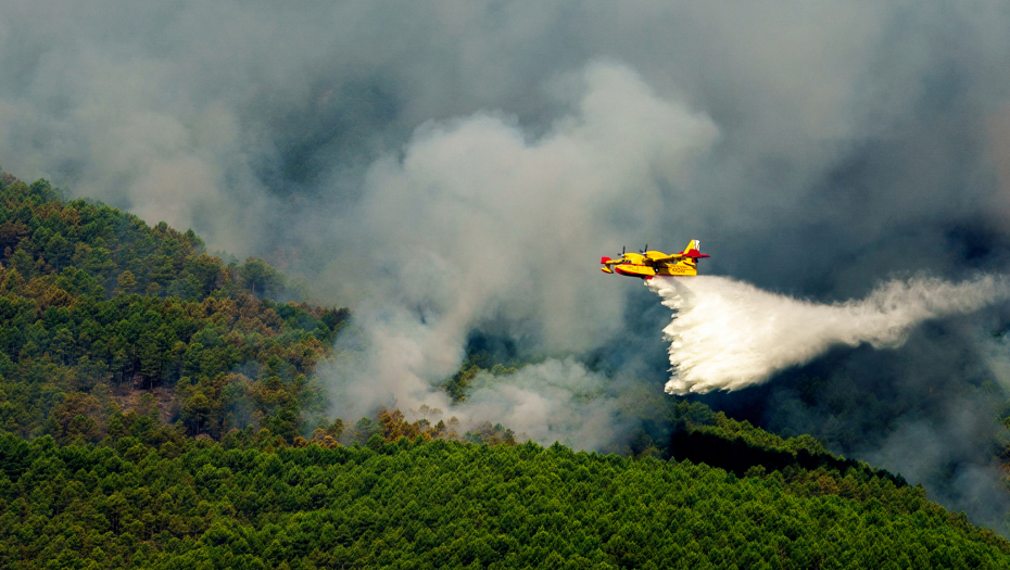 POŽAR KOD ROVINJA Gasi ga er traktor, a pozvana su i dva kanadera
