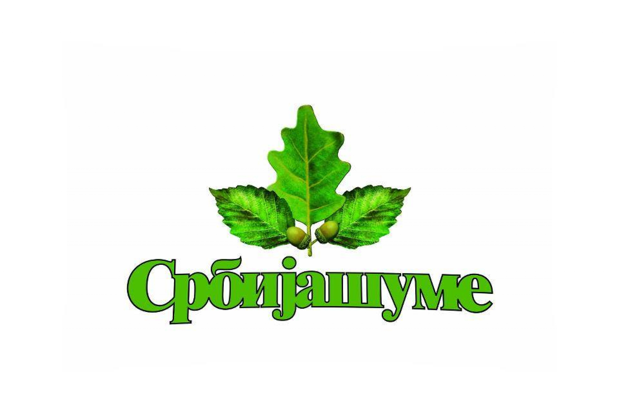 ALO ISTRAŽUJE Šta se dešava na stovarištima čvrstog ogreva? Ucena, ne daju pelet po 38.000 dinara