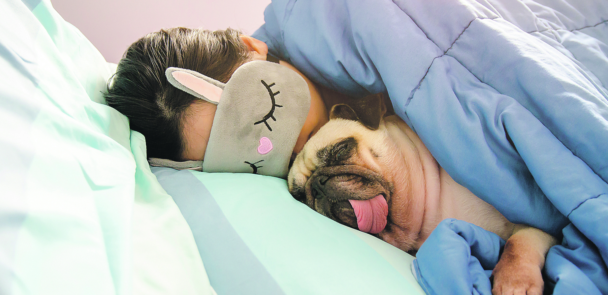 Istraživanja otkrivaju: Kako spavanje sa psom utiče na nas?