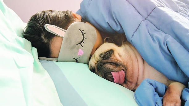 Istraživanja otkrivaju: Kako spavanje sa psom utiče na nas?