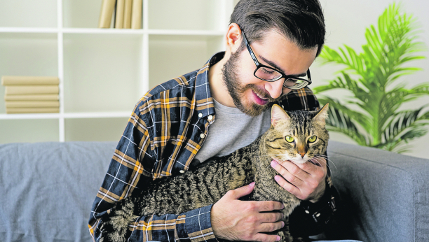 DA LI STE ZNALI Zašto mačke imaju 9 života?