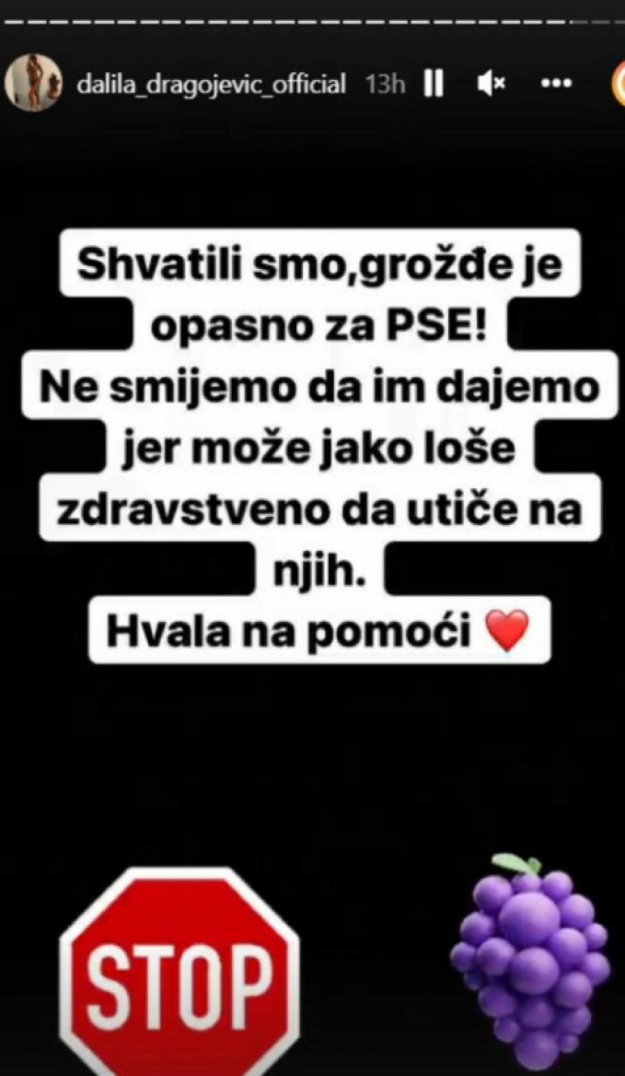 DALILA OVO NIJE SMELA DA URADI Dragojevićka dobila Tedija, hranila ga ovim, a on mogao da se otruje