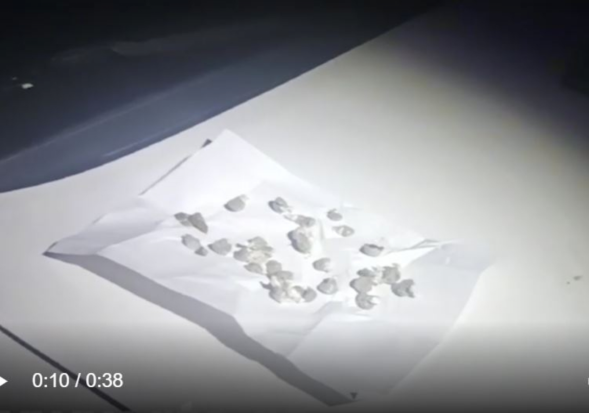 SAZNAJEMO: UBICA SA ŽURKE PAO ZBOG DROGE! Spektakularna akcija Interventne jedinice policije 192 na beogradskim ulicama