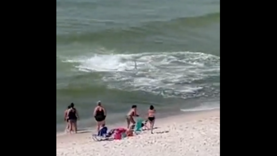 NEMAN SE ZALETELA U PLIĆAK Ljudi u panici bežali, strašne scene sa plaže u Alabami (VIDEO)
