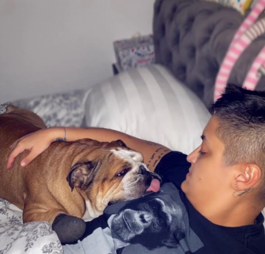 200.000 DINARA ZA JEDNOG PSA Ovo su kućni ljubimci naših zvezda i koštaju pravo bogatstvo