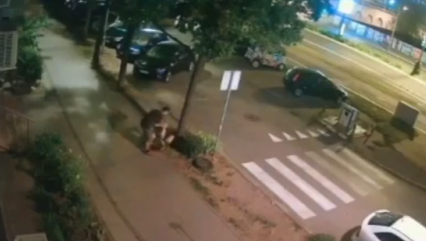 POLICIJA TRAGA ZA MUŠKARCEM SA NOVOG BEOGRADA Snimljen da šutira devojku na sred ulice
