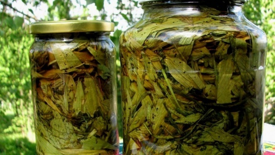 SLAVNA RUSKA DOKTORKA GARANTUJE PRESTANAK PUŠENJA Pijte šolju ovog čaja dnevno i izgubićete želju da pripalite cigaretu