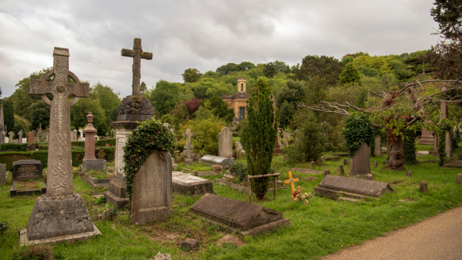SABLASAN PRIZOR Kada je pregledala fotografije koje je snimila na drevnom groblju, umalo se nije onesvestila