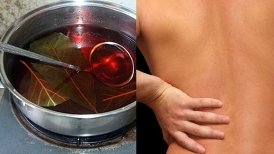 UJUTRU I NAVEČE POPIJTE OVAJ LEK U potpunosti očistite bubrege i popravite njihovu funkciju