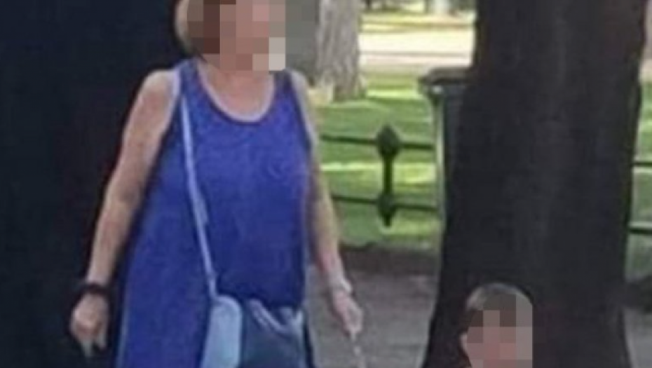 ŠOKANTNA SCENA U SUBOTICI Baka šetala unuka na povocu (FOTO)