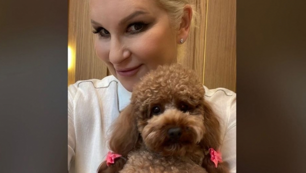 ZORANA LJUBOMORNA ŠTO JE PREMIJERKA ANA! Ne može da prežali što nije predsednica vlade