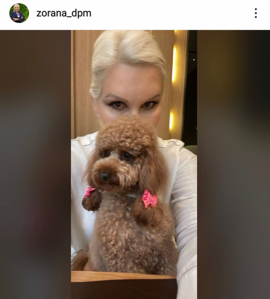 3 NEVOLJE ZA BAHATU ZORANU! Ministarka energetike u ozbiljnim problemima, većinu je sama izazvala!