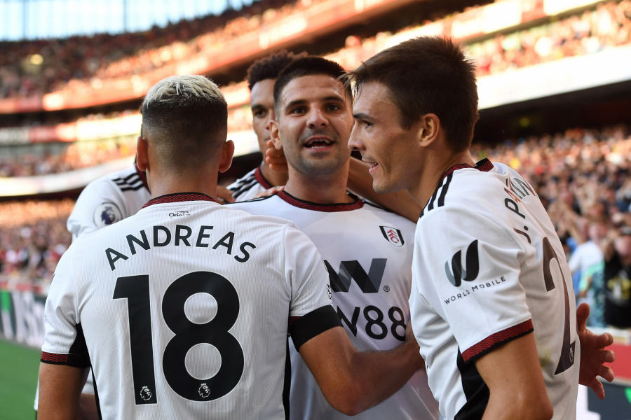 NEOBIČNA PRIČA MITROGOLA Tri meseca je prošlo od povrede Srbina, trener Fulama otkrio nove detalje