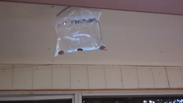 REŠITE SE DOSADNIH MUVA POMOĆU NOVČIĆA Trik za koji se kunu da provereno radi