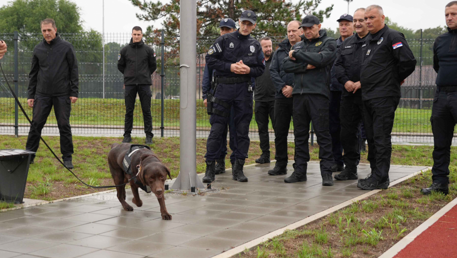 "ČUVAJTE IH, ALI IZNAD SVEGA ČUVAJTE SEBE" Vulin prisustvovao vežbanju službenih pasa (FOTO)