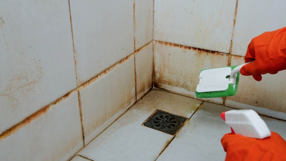 REŠITE SE ZAUVEK BUĐI IZ KUPATILA Napravite sredstvo od 50 dinara i uklonićete sve mrlje sa zida