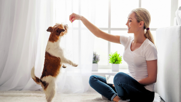 Razlog više da ga nabavite: Psi imaju pozitivan uticaj na zdravlje i raspoloženje