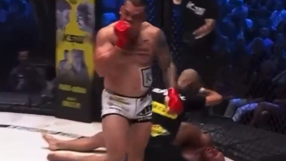 SRBIN UNAKAZIO KITU Poljak nije znao šta ga je snašlo (VIDEO)