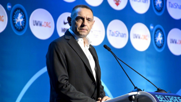 VULIN O NAVODIMA BIVŠE OTPRAVNICE POSLOVA U AMBASADI SAD DŽENIFER BRAŠ: Srbi zadovoljni Vučićem, ambasadori razočarani Vučićem, neka tako i ostane