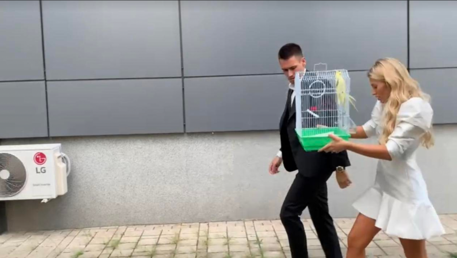 KRIJE JAKU SIMBOLIKU Saška Veselinov nije ispuštala papagaja iz ruku, a evo koje je značenje ptice na svadbi (FOTO)