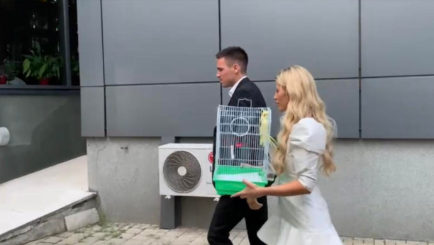 KRIJE JAKU SIMBOLIKU Saška Veselinov nije ispuštala papagaja iz ruku, a evo koje je značenje ptice na svadbi (FOTO)