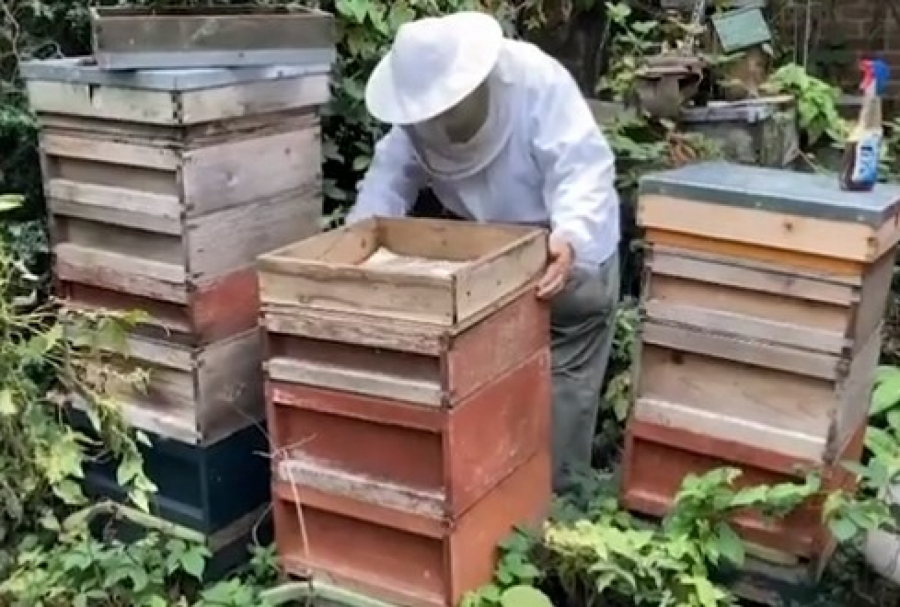 SIGURNA ZARADA Sjajan porodični biznis, dobra cena, a država daje subvencije