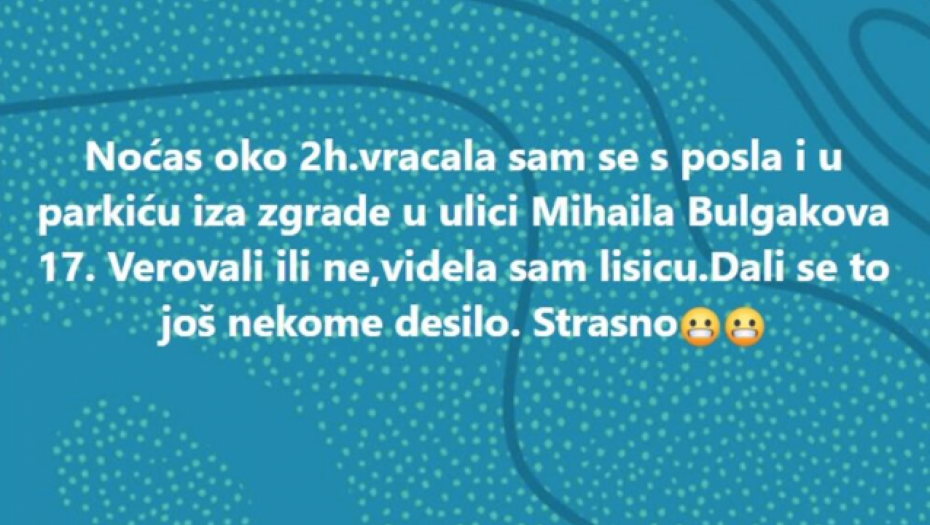 LISICA PROŠETALA PARKOM U MIRIJEVU  Meštanka u šoku, obavestila sve komšije