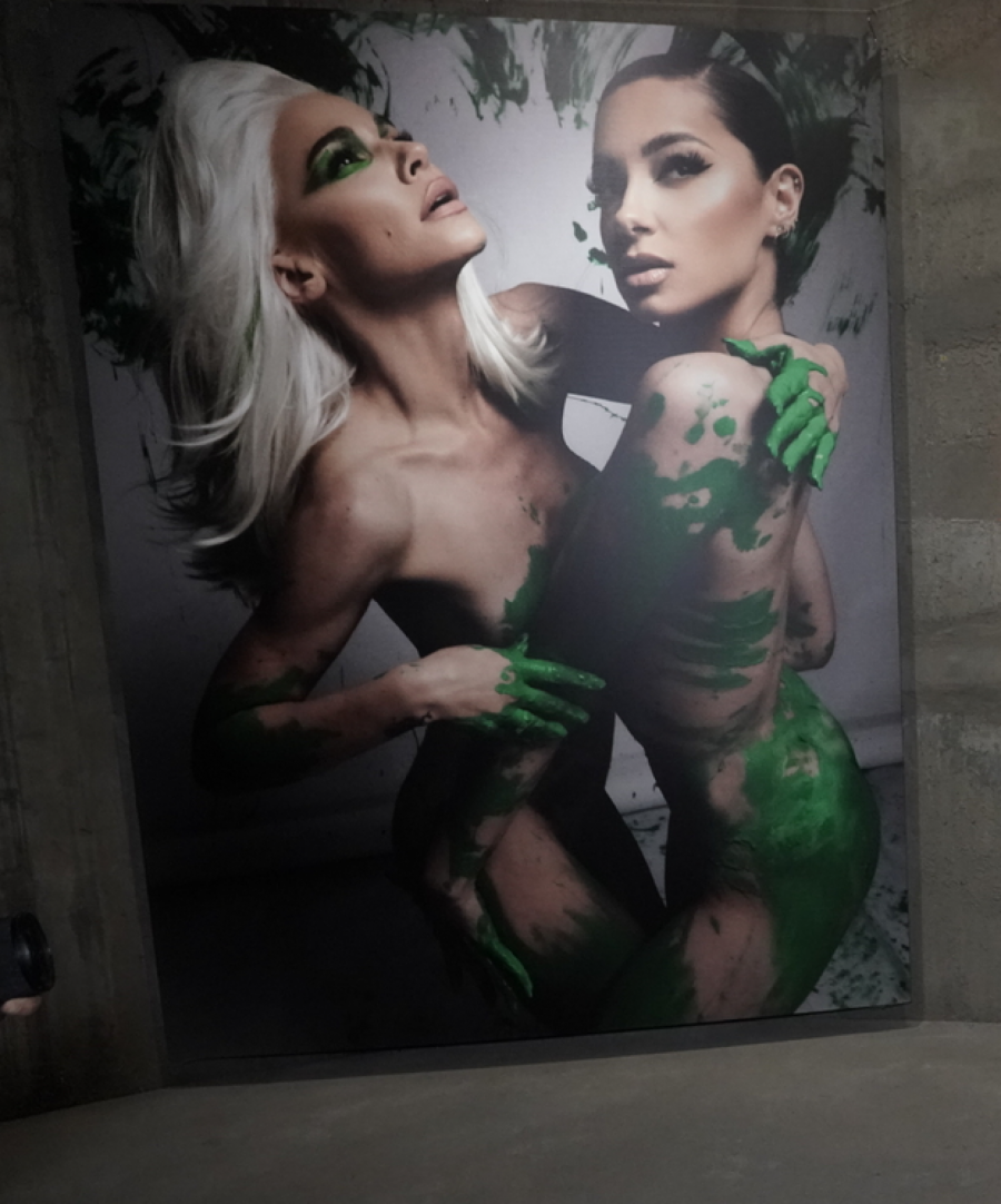 SKROZ GOLE PEVAČICE Nataša Bekvalac drži Saru Jo za grudi!