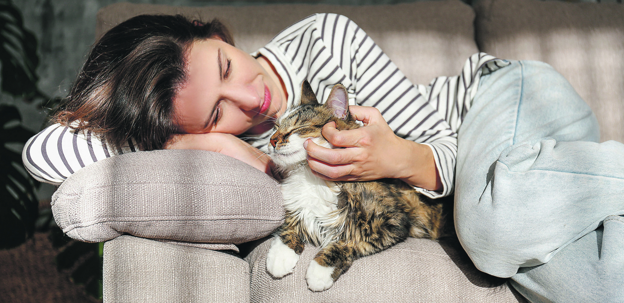 MAČKAMA JE MIRIS PREZIME Evo zašto se naše ljubimice češu o druge mačke ili vlasnike