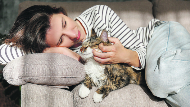 MAČKAMA JE MIRIS PREZIME Evo zašto se naše ljubimice češu o druge mačke ili vlasnike