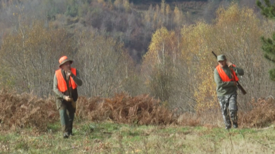 VUKOVI PRAVE POKOLJ U SELIMA OKO KRALJEVA Do sada zaklali 100 ovaca, meštani u strahu (FOTO)