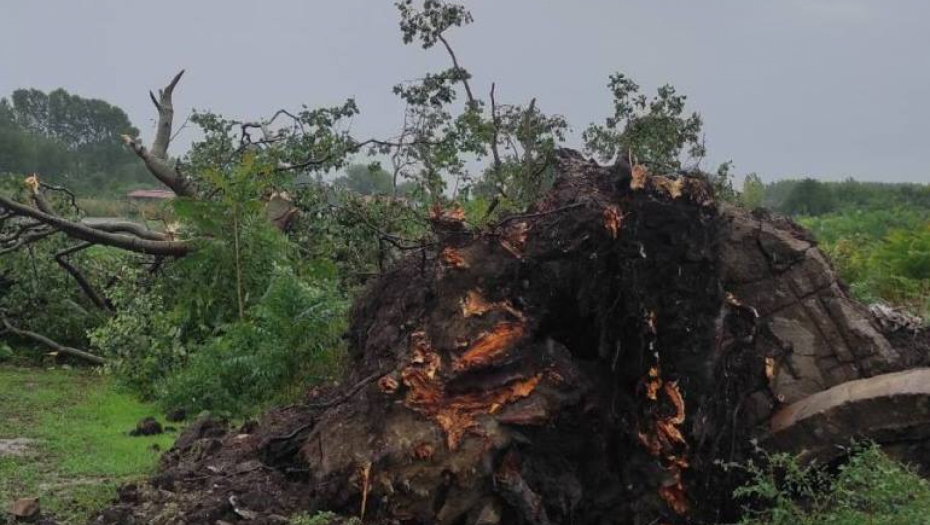 U OLUJI POGINULO NAJMANJE 13 LJUDI Obilne padavine u Bangladešu