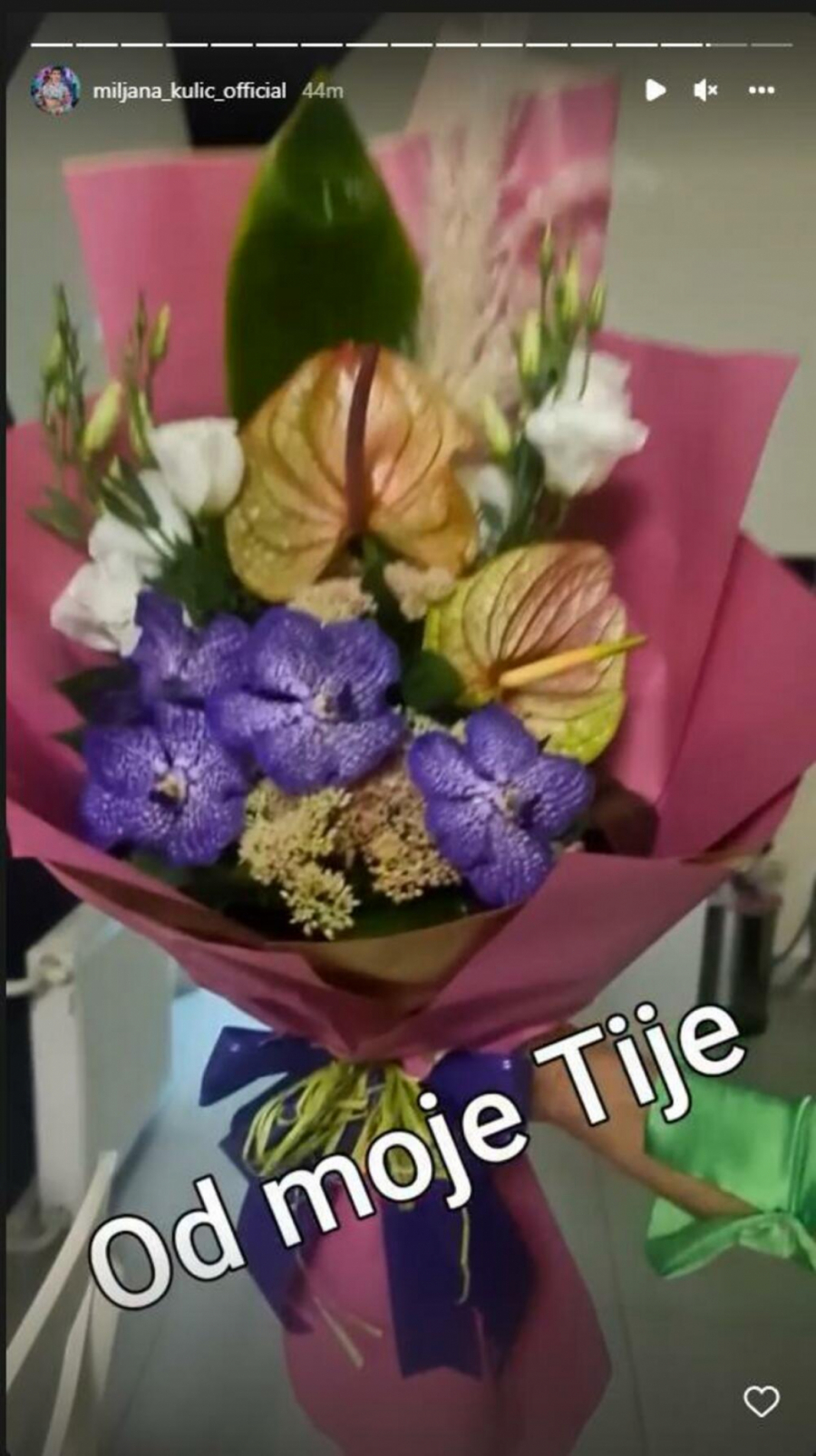 EVO KAKO SU MILJANU DOČEKALE SESTRE Ana i Tijana pripremile iznenađenje, Miljana se odmah pohvalila (FOTO)