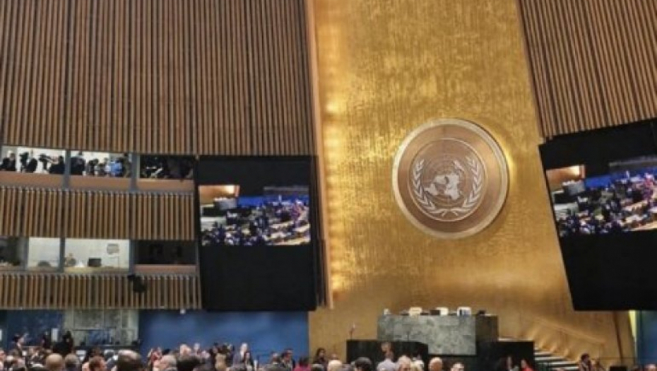 KURTI MOŽE SAMO DA PLAČE! Projekat 