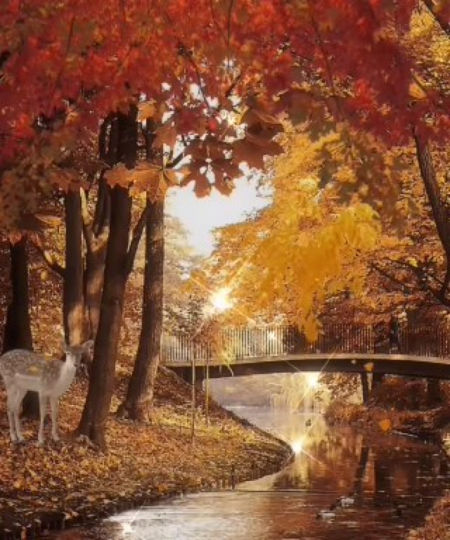 HOROSKOP ZA PETAK, 30. SEPTEMBAR Partner počinje da sumnja u Ovna, Devica razmišlja da promeni firmu, negativan aspekt za Jarca se nastavlja