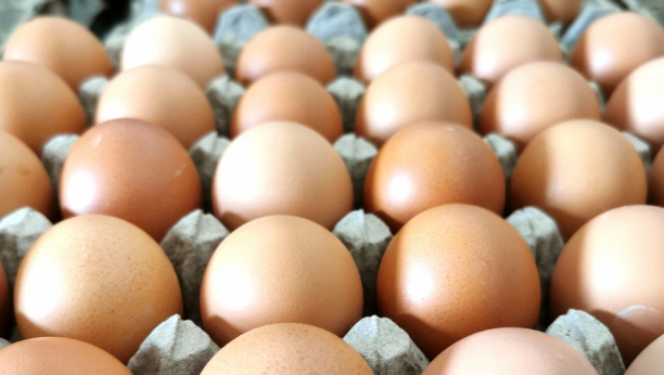 ČUVATE LI KARTONSKE KUTIJE OD JAJA? Prestanite to da radite, ni ne slutite koliko je opasno po zdravlje!