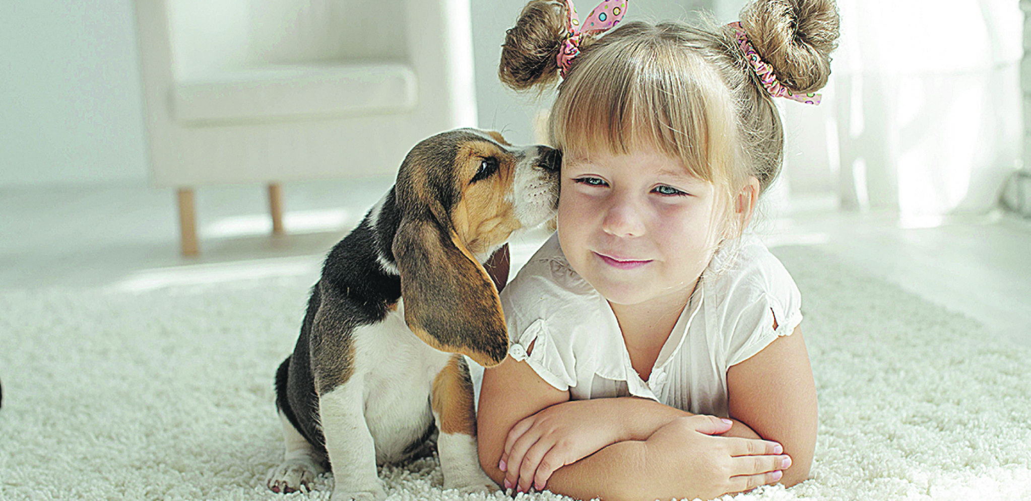 ODVOJITE IH PRE PRVOG SUSRETA Evo kako treba da se upoznaju pas i mačka