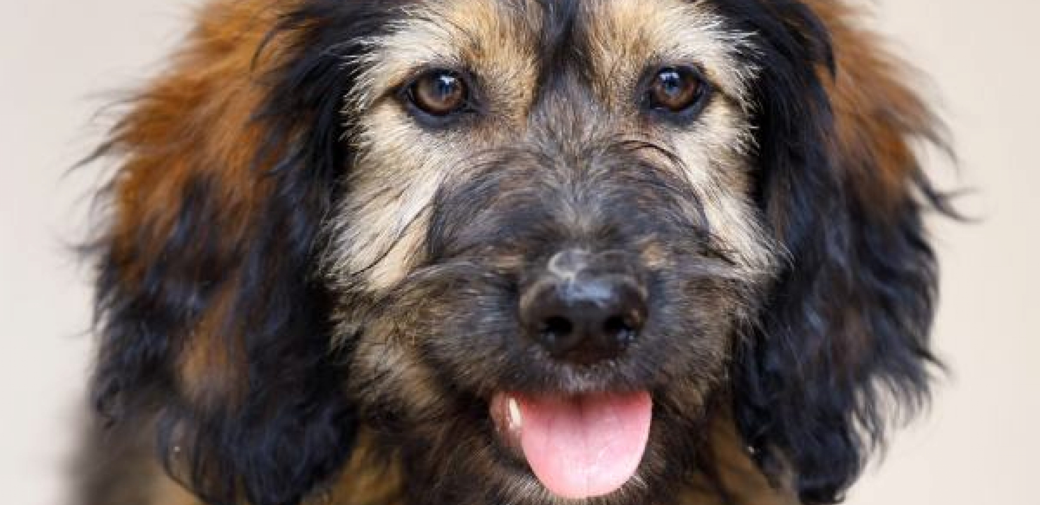 UDOMI ME Kuca ZaZa, unikatna maza