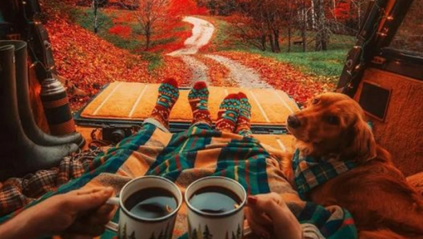 HOROSKOP ZA ČETVRTAK, 10. NOVEMBAR Nesporazum sa nadređenima Devicu bi mogao skupo da košta, Jarac će doživeti veliko poniženje, a Ribe čeka ljubavna avantura