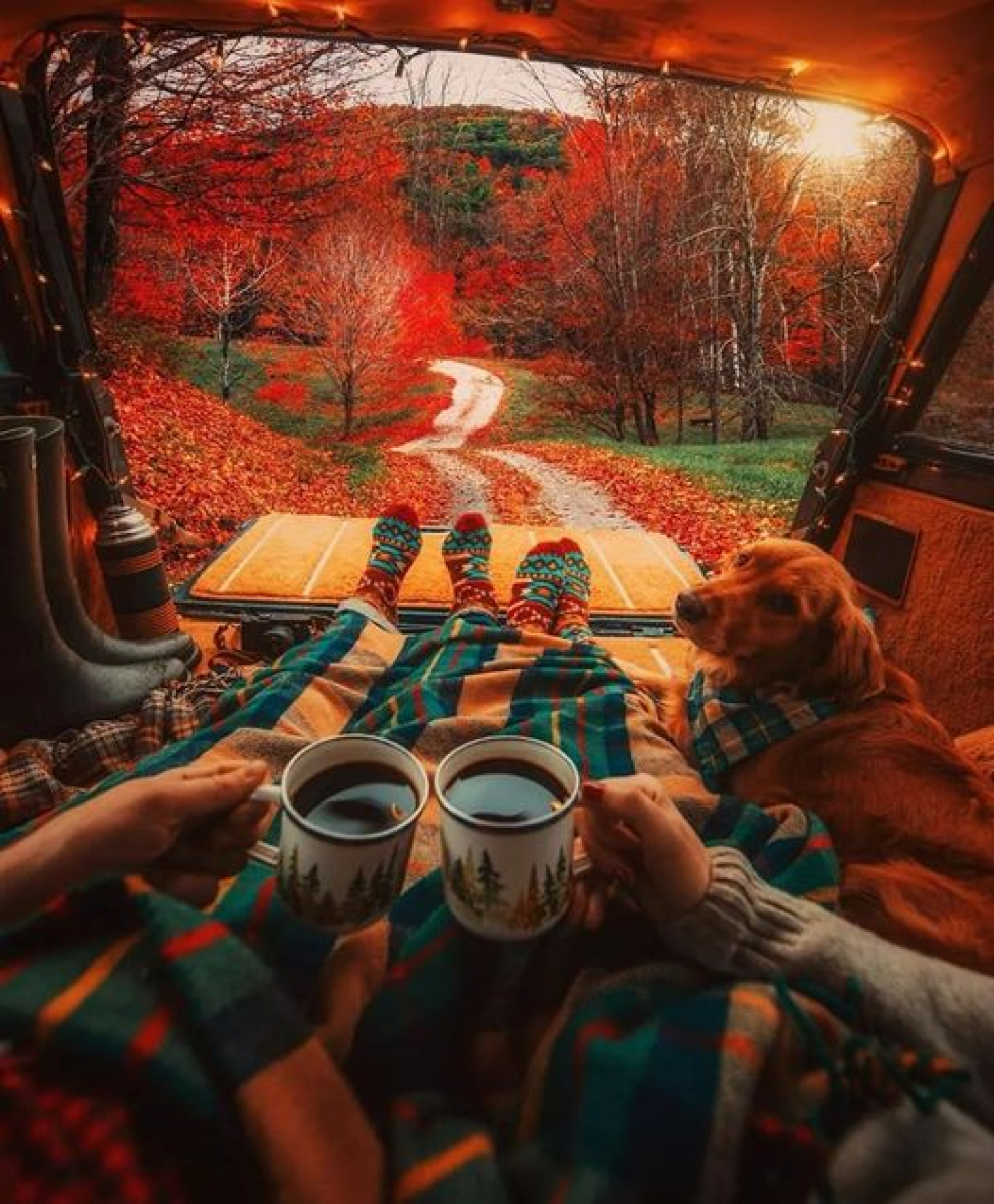 VELIKI MESEČNI HOROSKOP ZA OKTOBAR 2022. GODINE Ribama se smeši novi posao, Jarac podleže čarima misteriozne osobe, Ovan će skinuti težak teret sa leđa